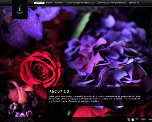 ali bakhtiar designs 495x400 - Dubai Web Design