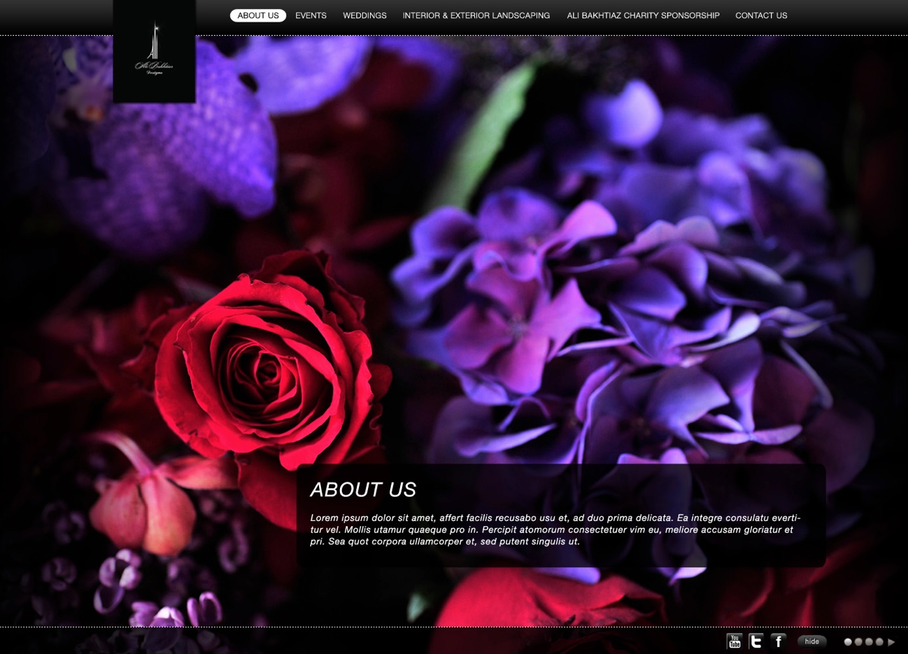 ali bakhtiar designs - Web Design Dubai