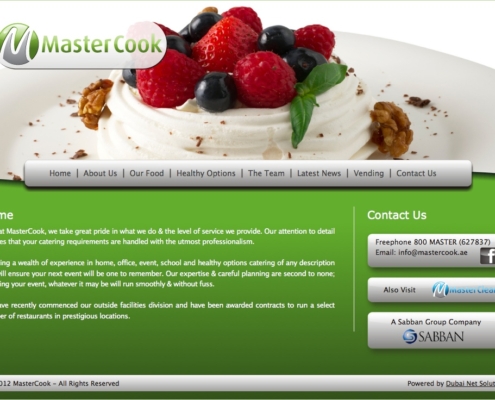 MasterCook 495x400 - Dubai Web Design