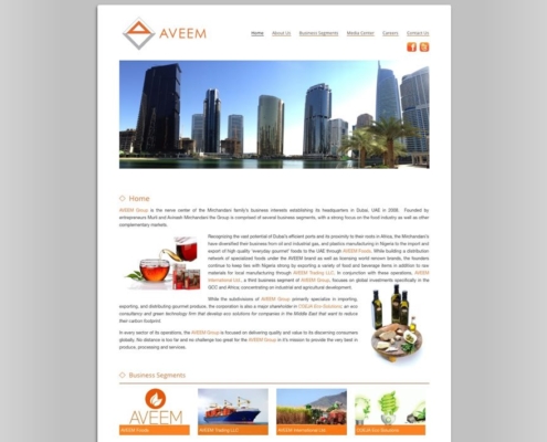 Aveem 495x400 - Design Portfolio