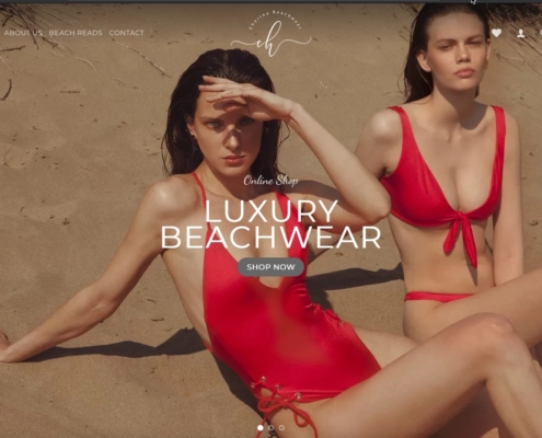 cherina beachwear ecommerce e1591816946591 495x400 - Dubai Web Design